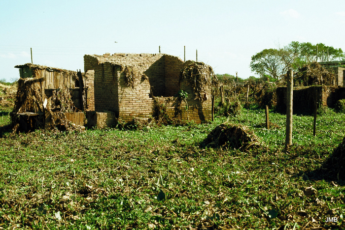 AÑO 1983 - COLOR - VIDA CAMPESINA EN PARAGUAY (JOSÉ MARÍA BLANCH)